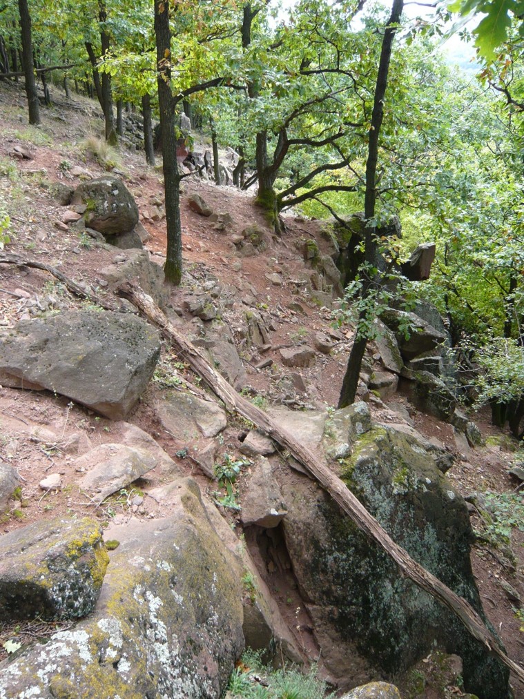 Vad taposásának hatása_MG.jpg